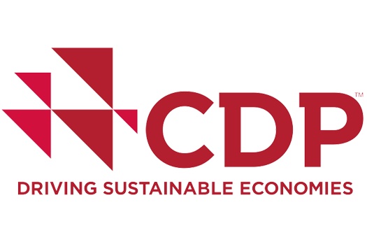CDP - Driving Sustainable Economies