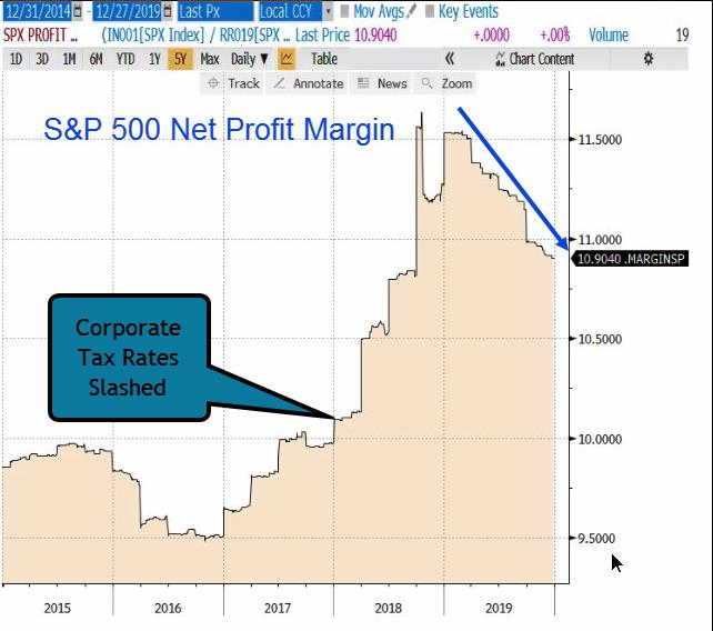 net profit margin (INVERTED)-1